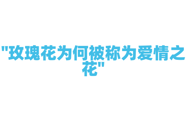 "玫瑰花为何被称为爱情之花"